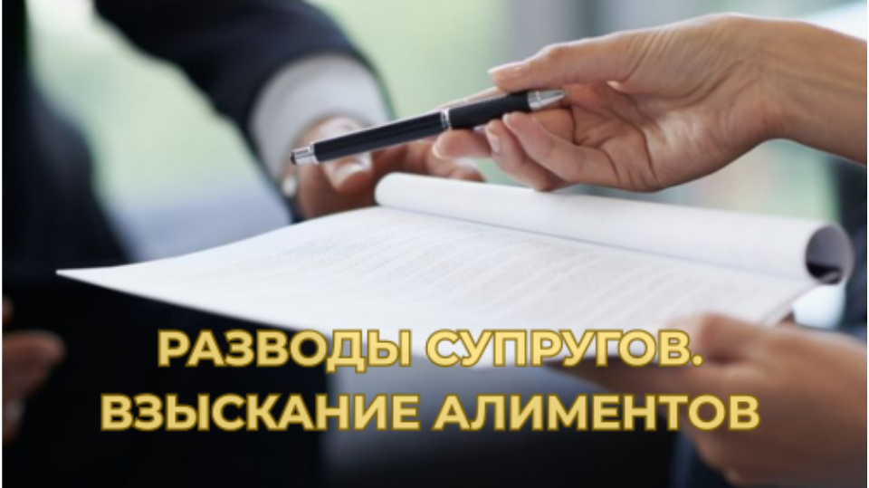РАЗВОДЫ СУПРУГОВ. АЛИМЕНТЫ.